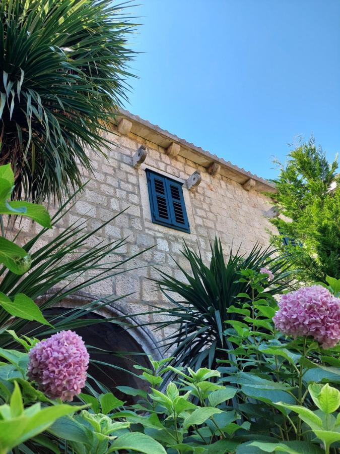 Apartments Dia Zaostrog Dış mekan fotoğraf